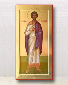 Икона «Емилиан мученик» Краснокамск